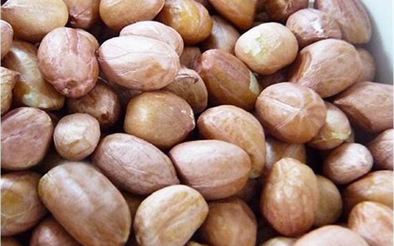 Kacang Tanah